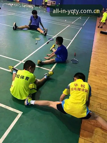 有球体育怎么下载推荐 有球体育全站下载安装教程:完整操作指南与数据查询技巧